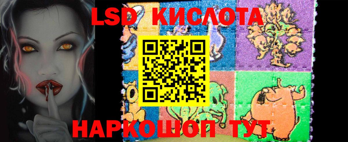 Меф Ноябрьск