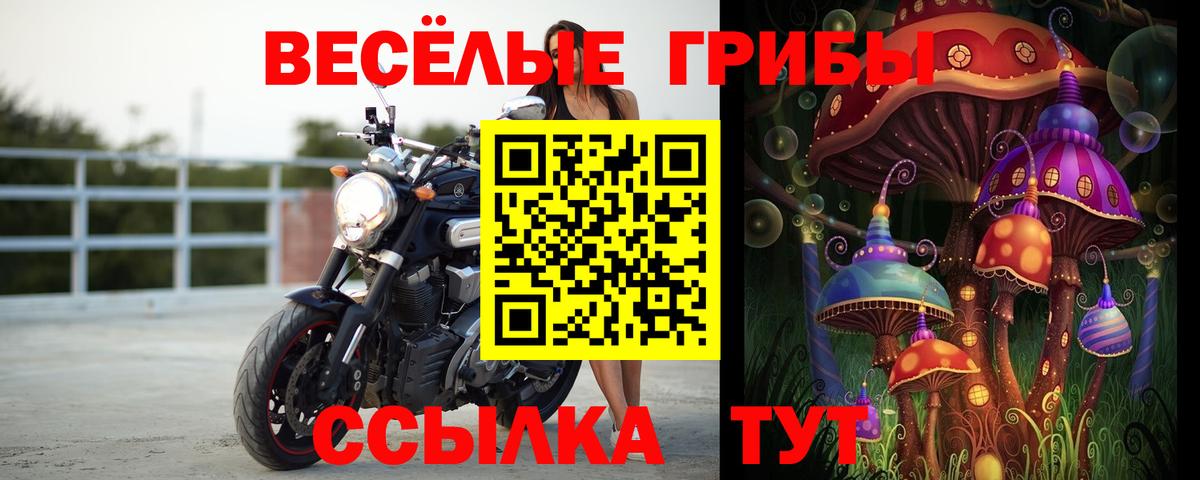 Ноябрьск  где продают   Вход с VPN  Галлюциногенные грибы Cubensis  Псилоцибиновые грибы Psilocybe 